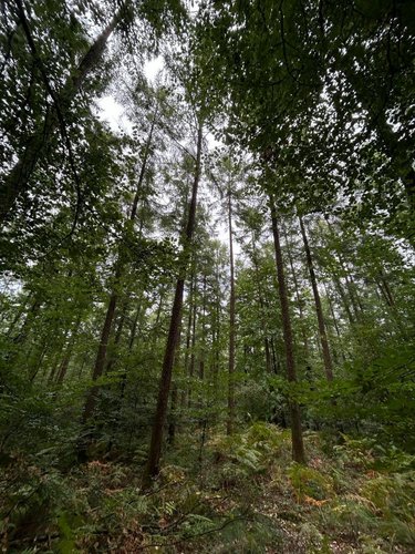 Terrains de loisirs bois etangs a vendre Le Ménil-de-Briouze 61220 Orne 519765 m2  801750 euros