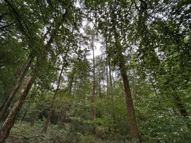 Terrains de loisirs bois etangs a vendre Le Ménil-de-Briouze 61220 Orne 519765 m2  801750 euros