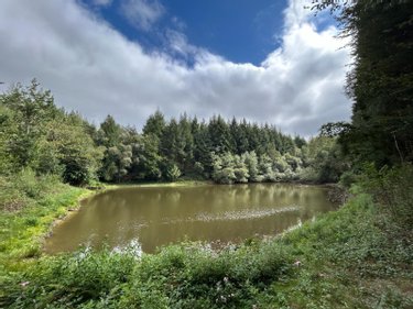 Terrains de loisirs bois etangs a vendre Le Ménil-de-Briouze 61220 Orne 519765 m2  801750 euros