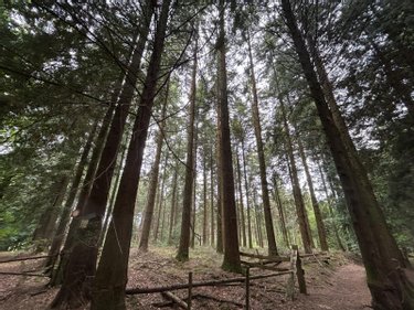 Terrains de loisirs bois etangs a vendre Le Ménil-de-Briouze 61220 Orne 519765 m2  801750 euros