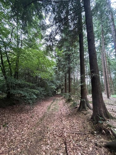 Terrains de loisirs bois etangs a vendre Le Ménil-de-Briouze 61220 Orne 519765 m2  801750 euros
