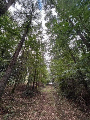 Terrains de loisirs bois etangs a vendre Flers 62270 Pas-de-Calais 519765 m2  801750 euros