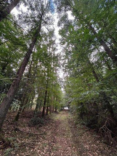 Terrains de loisirs bois etangs a vendre Le Ménil-de-Briouze 61220 Orne 519765 m2  801750 euros