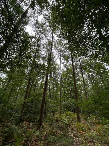 Terrains de loisirs bois etangs a vendre Le Ménil-de-Briouze 61220 Orne 519765 m2  801750 euros