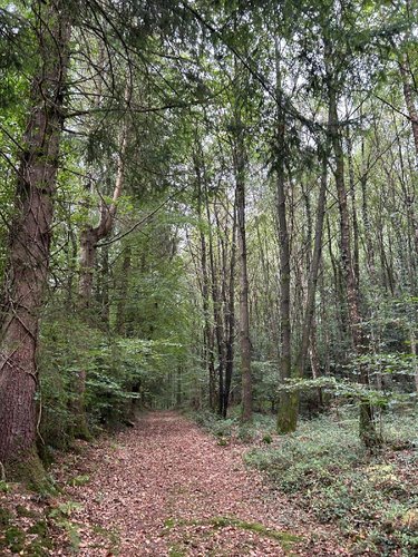 Terrains de loisirs bois etangs a vendre Le Ménil-de-Briouze 61220 Orne 519765 m2  801750 euros