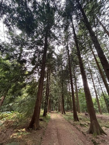 Terrains de loisirs bois etangs a vendre Le Ménil-de-Briouze 61220 Orne 519765 m2  801750 euros