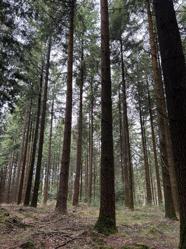 Terrains de loisirs bois etangs a vendre Le Ménil-de-Briouze 61220 Orne 519765 m2  801750 euros