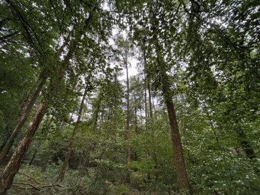 Terrains de loisirs bois etangs a vendre Flers 62270 Pas-de-Calais 519765 m2  801750 euros