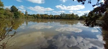 propriete a vendre Saint-Charles-la-Forêt 53170 Mayenne 354 m2 6 pièces 495000 euros