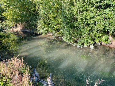 Maison a vendre Neuflize 08300 Ardennes 135 m2 5 pièces 214100 euros