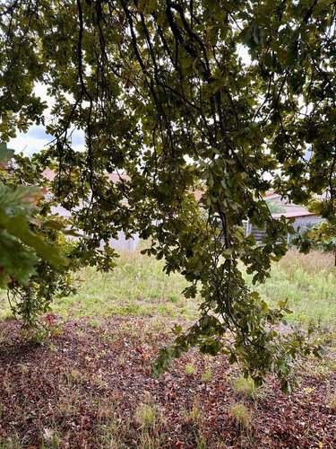 Terrain a batir a vendre Bordeaux 33000 Gironde 304 m2  252000 euros