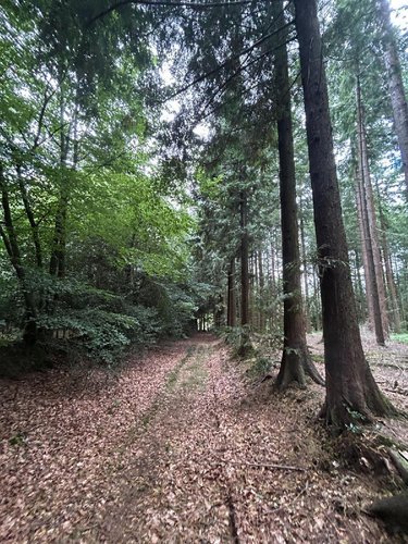 Terrains de loisirs bois etangs a vendre Laval 53000 Mayenne 519765 m2  801750 euros