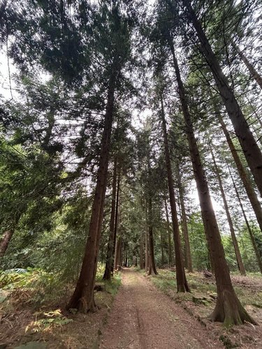 Terrains de loisirs bois etangs a vendre Laval 53000 Mayenne 519765 m2  801750 euros