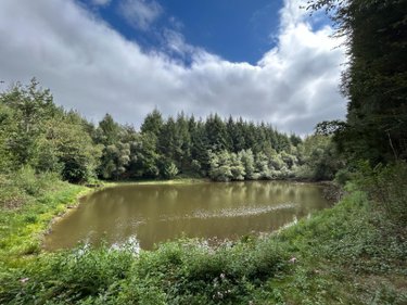 Terrains de loisirs bois etangs a vendre Paris 75000 Paris 519765 m2  801750 euros