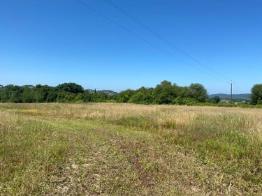 Terrain a batir a vendre Sames 64520 Pyrénées-Atlantiques 21317 m2  800000 euros