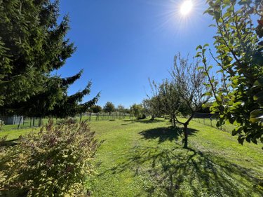 Maison a vendre Virey-sous-Bar 10260 Aube 92 m2 3 pièces 136700 euros