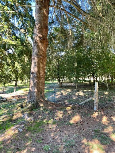 Maison a vendre Cornille 24750 Dordogne 195 m2 5 pièces 325000 euros