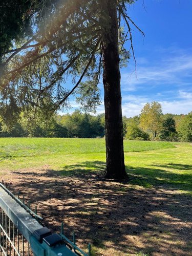Maison a vendre Cornille 24750 Dordogne 195 m2 5 pièces 325000 euros