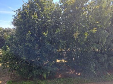 Appartement a vendre Lorient 56100 Morbihan 52 m2  151525 euros