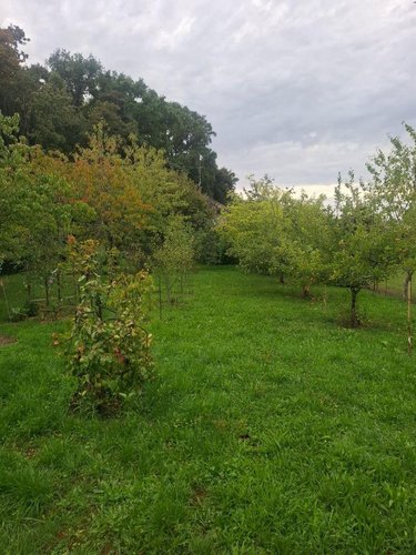 Terrain a batir a vendre Fussy 18110 Cher 1148 m2  66500 euros