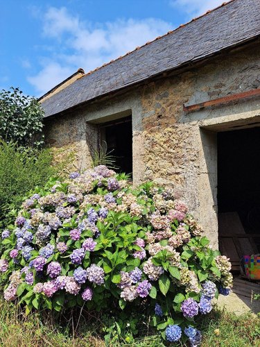 Maison a vendre Querrien 29310 Finistère 60 m2 4 pièces 42640 euros