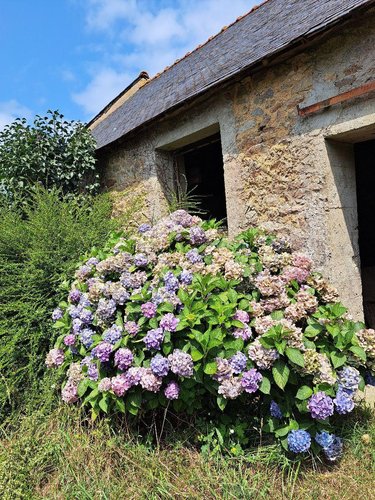 Maison a vendre Querrien 29310 Finistère 60 m2 4 pièces 42640 euros