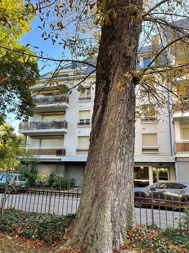 Appartement a vendre Troyes 10000 Aube 223 m2 7 pièces 450000 euros