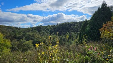 Maison a vendre Tréméven 29300 Finistère 250 m2 11 pièces 652000 euros