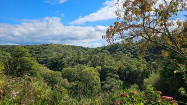 Maison a vendre Tréméven 29300 Finistère 250 m2 11 pièces 652000 euros