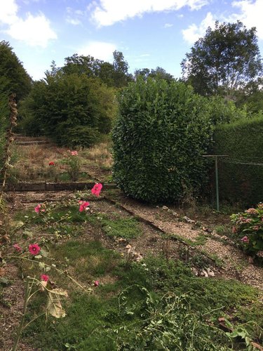 Location maison Montfort-sur-Risle 27290 Eure 65 m2  550 euros