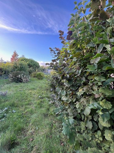 Maison a vendre Hazebrouck 59190 Nord 90 m2 6 pièces 139000 euros