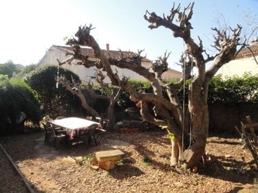 Maison a vendre Saint-Gilles 30800 Gard 186 m2 6 pièces 270300 euros