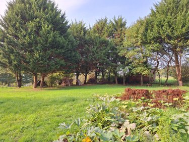 Maison a vendre Chailland 53420 Mayenne 30 m2 2 pièces 65100 euros