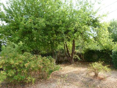 Maison a vendre Vijon 36160 Indre 84 m2 4 pièces 105000 euros