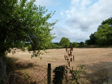 Maison a vendre Vijon 36160 Indre 84 m2 4 pièces 105000 euros