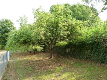 Maison a vendre Vijon 36160 Indre 84 m2 4 pièces 105000 euros