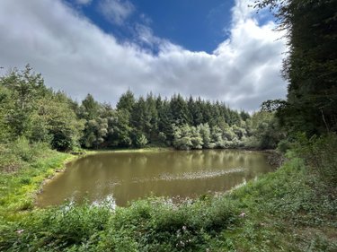 Terrains de loisirs bois etangs a vendre Le Ménil-de-Briouze 61220 Orne 519765 m2  801750 euros