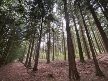 Terrains de loisirs bois etangs a vendre Le Ménil-de-Briouze 61220 Orne 519765 m2  801750 euros