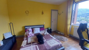 Maison a vendre Vic-sur-Cère 15800 Cantal 109 m2  169790 euros