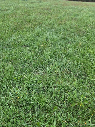 Bien agricole a vendre Averton 53700 Mayenne  10800 euros