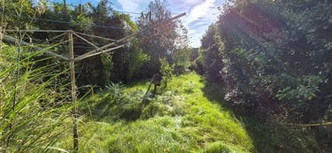 Maison a vendre Bonnétable 72110 Sarthe 70 m2 3 pièces 53500 euros