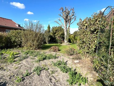 Maison a vendre Esquelbecq 59470 Nord 101 m2 6 pièces 229460 euros