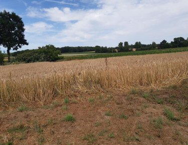 Maison a vendre Évellys 56500 Morbihan 128 m2 5 pièces 220000 euros