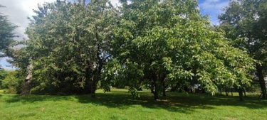 Maison a vendre Allaire 56350 Morbihan 60 m2 2 pièces 168640 euros