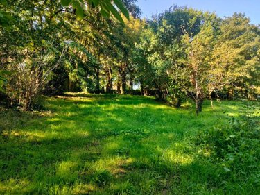 Terrain a batir a vendre Niort 79000 Deux-Sèvres 1470 m2  137680 euros
