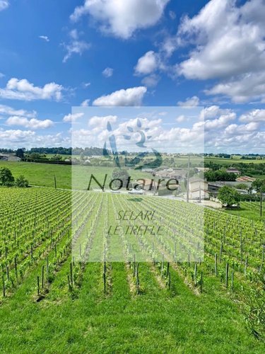 propriete a vendre Saint-Genès-de-Castillon 33350 Gironde 286 m2 8 pièces 743600 euros