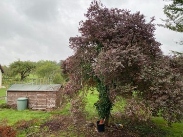 Maison a vendre Châtillon-sur-Indre 36700 Indre 67 m2 4 pièces 64800 euros