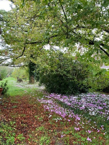 Maison a vendre Châtillon-sur-Indre 36700 Indre 67 m2 4 pièces 64800 euros