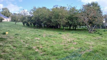 Terrain a batir a vendre Carentoir 56910 Morbihan 888 m2  34680 euros