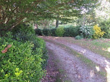 Terrain a batir a vendre Rédené 29300 Finistère 936 m2  109725 euros